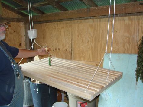 Papa’s Onion Drying Rack | Modern Missouri Pioneers Onion Drying Rack, Onion Rack, Veggie Storage, Store Onions, Backyard Plans, Garden Shed Interiors, Homestead Gardening, Onion Storage, Hanging Drying Rack