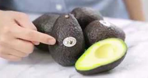 How To Keep Avocados From Turning Brown Nutella Filled Cookies, Avocado Uses, Diy Resin Casting, How To Cut Avocado, Diy Joy, Guacamole Dip, Avocado Seed, Fresh Avocado, Filled Cookies