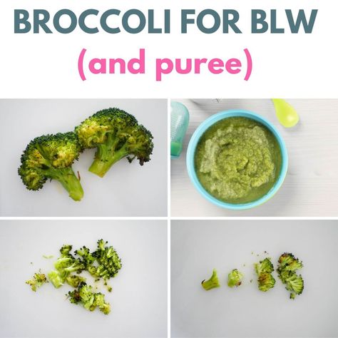 Best Broccoli for Baby-led Weaning  - Creative Nourish Broccoli For 8 Month Old, Blw Broccoli, Pear Baby Puree, Broccoli Smoothie Recipes, Avocado Baby Puree, Healthy Blueberry Pancakes, Homemade Baby Food Recipes, Easy Homemade Baby Food, Easy Homemade Pasta