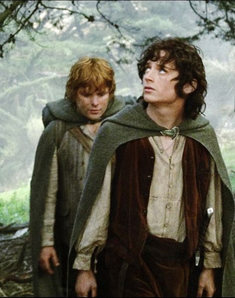 The Lord of the Rings: The Fellowship of the Ring - 2001 Hobbit Costume, Lord Of Rings, Samwise Gamgee, Concerning Hobbits, Frodo Baggins, Elijah Wood, Into The West, The Two Towers, Fellowship Of The Ring