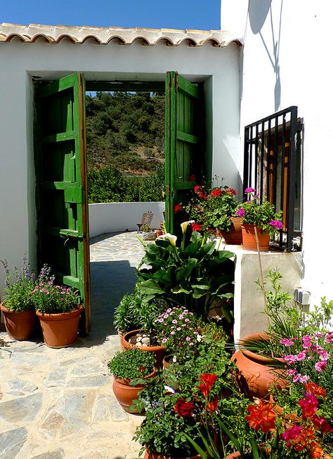 Mexican Entryway, Entryway Courtyard, Mexican Patio Ideas, Mexican Courtyard, Spanish Patio, Mexican Garden, Landscaped Garden, Spanish Garden, Rustic Patio