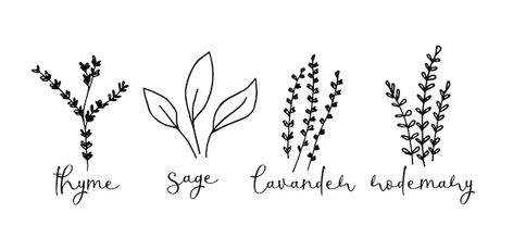 Premium Vector | Lettering and doodle images for garden herbs lavender rosemary thyme sage herb jar stickers Sage Herb, Herb Jar, Garden Herbs, Jar Stickers, Lavender Rosemary, Doodle Images, Doodle Lettering, Line Art Drawings, Herb Garden