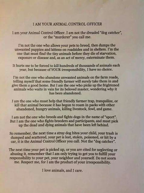 I am your animal control officer Animal Control Officer Tattoos, Animal Control Officer Quotes, Animal Shelter Quotes, Canine Bites, Animal Control Officer, Angel Cats, Vet Life, Control Quotes, Shelter Ideas