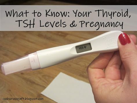 Tsh Level Chart, Lower Tsh Levels Naturally, High Tsh Levels, Optimal Thyroid Levels, Thyroid Removal, Hcg Levels, Thyroid Supplements, Thyroid Levels, First Ultrasound