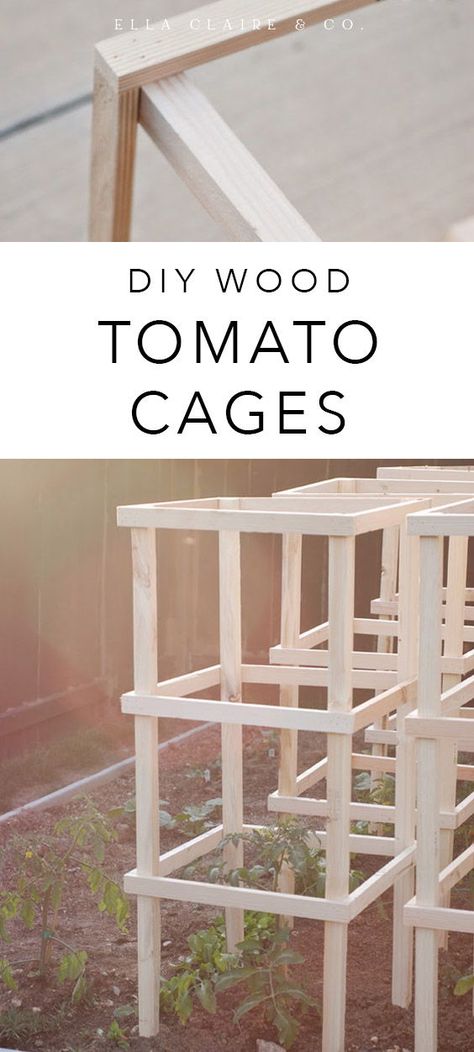 Tomatoe Cages Ideas Diy, Tomato Cages Diy, Diy Tomato Cage, Tomato Trellis, Garden Boxes Diy, Garden Tomatoes, Coop Ideas, Future Garden, Vegetable Garden Diy