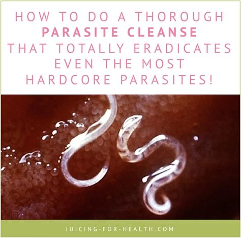 Parasite Cleanse - How To Completely Kill 100+ Types of Parasite Parasite Cleanse Diet, Body Detox Cleanse, Parasite Cleanse, Health Cleanse, Full Body Detox, Cleanse Diet, Natural Detox Drinks, Cleanse Detox, Detox Drinks Recipes