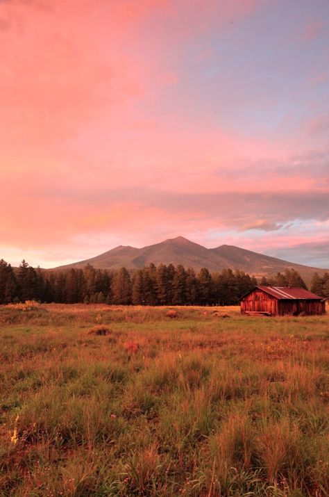 Flagstaff Arizona Aesthetic, Flagstaff Aesthetic, Arizona Aesthetic, Flagstaff Arizona, Public Enemy, Pretty Landscapes, Ranch Life, Thanks To Everyone, Flagstaff