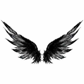 Ravens Wings Tattoo, Wing Tattoo Cover Up, Dark Wing Tattoo, Raven Wings Tattoo Back, Wing Tattoo Chest, Swan Wings Tattoo, Black Angel Wings Tattoo, Dark Angel Wings Tattoo, Dark Wings Aesthetic