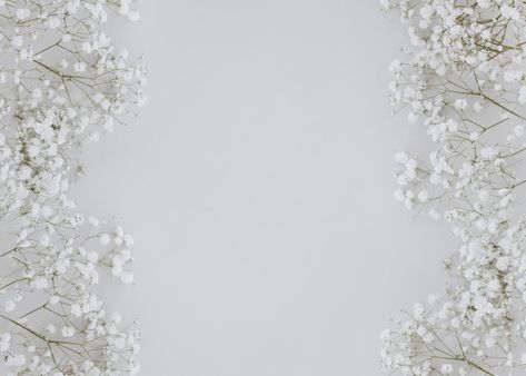 Gypsophila on gray background with copy space in the center Free Photo Gypsophila Background, White Flower Background, Wedding Invitation Website, Gypsophila Wedding, Pink And White Background, Wedding Invitation Background, White And Pink Roses, Floral Texture, Floral Border Design