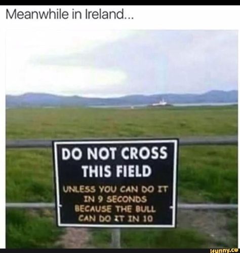 Irish Memes, Irish Aesthetic, Ireland Quotes, Animal Oc, Irish English, Father Ted, Castles In Ireland, Ireland Trip, Northern Irish