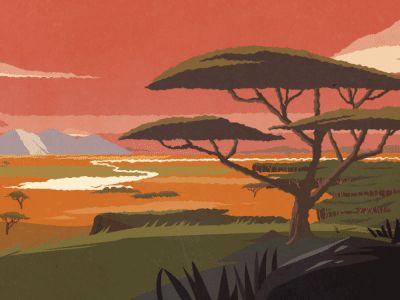 Day&Night In Savanna by rovshen | Dribbble | Dribbble Savanna Illustration, Safari Illustration, Murals Ideas, Savannah Art, Pop Book, Channel Branding, White Rhino, Childrens Books Illustrations, Rare Animals