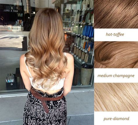 beautiful sun kiss hair color with hot coffee medium champagne and pure diamond colors Medium Champagne Hair Color, Champagne Hair Color, Champagne Hair, Balayage Ombré, Blonde Hair Shades, Haircut And Color, Hair Color And Cut, Ombre Balayage, Balayage Highlights