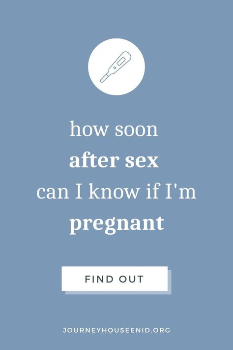 Plan B Pill, Pregnancy Pills, Signs You Are Pregnant, Fertilization Process, Am I Pregnant, Pregnancy Timeline, Pregnancy Facts, Pregnancy Calculator, Early Pregnancy Signs