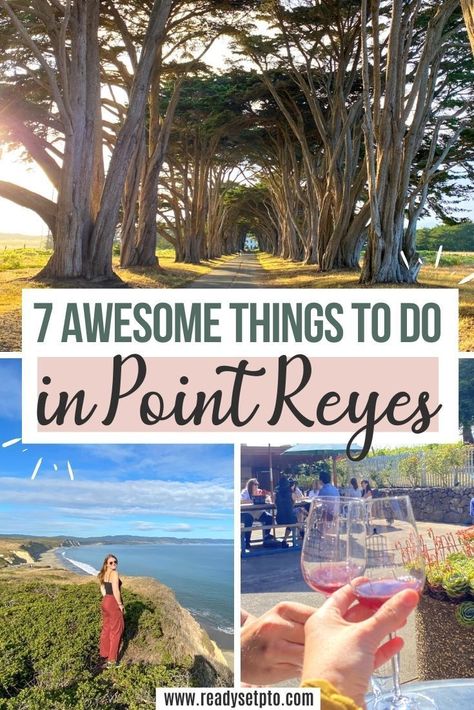 7 Awesome Things to do in Point Reyes. Point Reyes, located about 1 hour north of San Francisco, feels like something out of a fairytale. Think pristine beaches, rugged coastline, wildlife sightings and a cute little town to top it all off. There are plenty of awesome things to do in Point Reyes for a day trip or a full weekend getaway! Check out my post for my Point Reyes travel guide and start planning your trip.   California Travel | San Francisco Day Trips Travel San Francisco, Point Reyes California, California Getaways, Point Reyes National Seashore, California Destinations, West Coast Road Trip, Point Reyes, Us Road Trip, San Francisco Travel