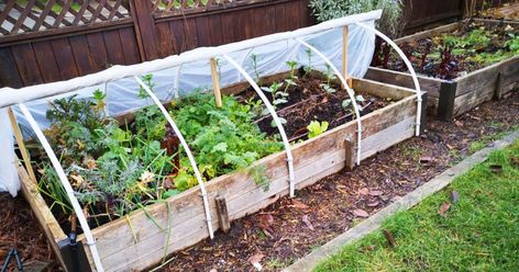 How to make a retractable PVC hoop house in 6 easy steps Backyard Nursery, Pvc Greenhouse, Garden Cloche, Hoop House, Garden Netting, Crop Production, Herb Garden Design, Vegetable Garden Planning, Veg Garden