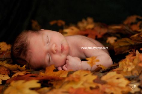 Fall themed newborn photos Fall Poses, Fall Baby Photos, Fall Newborn, Fall Baby Pictures, Baby Fall, Baby Poses, Fall Photo, Newborn Poses, Foto Baby