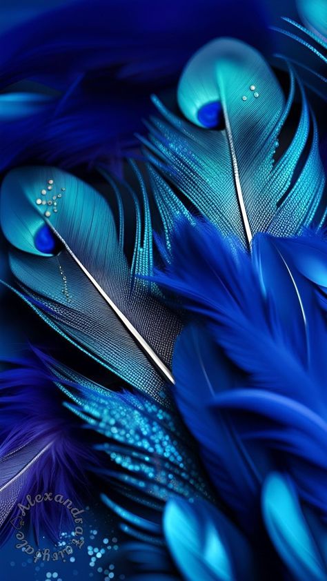 Blue Feather Aesthetic, Inspirational Desktop Wallpaper, Cheetah Print Wallpaper, Android Wallpaper Dark, Purple Flowers Wallpaper, Everything Is Blue, Pretty Wallpapers Tumblr, Screen Savers Wallpapers, Beautiful Flowers Photography