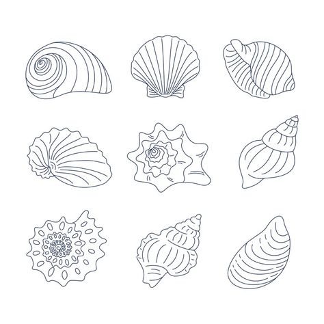 Shell Embroidery Pattern, Seashell Line Art, Seashell Drawing Simple, Sea Shell Outline, Seashell Illustration Drawing, Shell Line Drawing, Seashells Illustration, Seashell Outline, Seashell Sketch