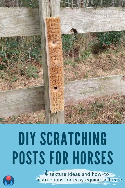 A picture of a DIY horse scratching post made from brushes on a horse fence. Text beneath on blue background reads: DIY Scratching Posts for Horses. 4 texture ideas and how to instructions for easy equine self care. Diy Cow Scratching Post, Scratching Post For Horses, Horse Scratching Post Diy, Cow Scratching Post, Diy Hitching Post For Horses, Diy Horse Enrichment Toys, Horse Hitching Post Ideas, Horse Diy Projects, Horse Hacks Diy Ideas