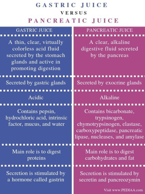 What is the Difference Between Gastric Juice and Pancreatic Juice Check more at https://in4arts.com/what-is-the-difference-between-gastric-juice-and-pancreatic-juice.html Human Body Diagram, Exocrine Gland, Gastric Juice, Nursing School Motivation, Body Diagram, What Is The Difference Between, Neon Wallpaper, Medical Science, School Motivation