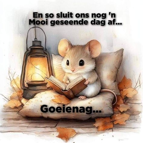 Lekker Slaap Afrikaans, Lekker Slapies, Nag Lekker Slaap, Good Morning Beautiful Gif, Lekker Slaap, Evening Greetings, Beautiful Gif, Good Morning Beautiful, Wise Quotes