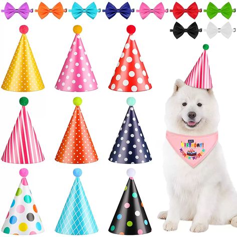 Cone Hats, Dog Party Hat, Dog Birthday Hat, Birthday Hats, Bandana Neck, Book Cake, Dog Birthday Party, Pet Dogs Puppies, Bow Tie Set