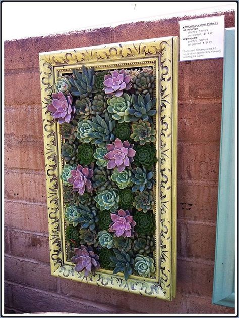 Picture Frame DIY: 7 Ways to Repurpose Old Picture Frames Bought at Au Succulent Frame, Succulent Garden Design, Succulent Wall Art, Creative Landscape, Pallet Planter, Succulent Art, Old Picture Frames, Succulent Wall, Diy Picture Frames