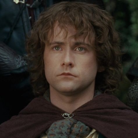 Pippin Took, Pippin Lotr, 2000s Lookbook, Aesthetic Lord Of The Rings, Lord Of The Rings Icons, Lord Of The Rings Aesthetic, Lord Of The Rings Characters, Merry Brandybuck, Hobbit Aesthetic