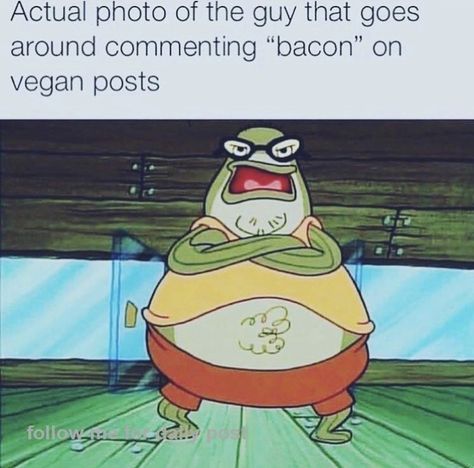 Vegetarian Memes, Vegan Quotes Funny, Mood Elevator, Vegan Jokes, Vegan Turkey, Vegan Facts, Vegan Memes, Vegan Quotes, Why Vegan