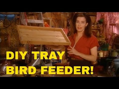 Easy DIY squirrel-proof platform bird feeder in an afternoon! - YouTube Diy Squirrel Feeder Easy, Diy Squirrel Feeder, Bird Feeder Diy, Platform Bird Feeder, Road To Avonlea, Squirrel Feeder, Diy Tray, Introduce Yourself, Bird Feeder