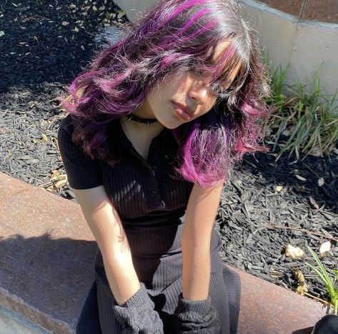 Wolfcut Purple Highlights, Skunk Streak Hair Purple, Purple Hair Highlights Wolfcut, Purple Streaks In Brown Hair Curly, Wolf Cut Purple Highlights, Purple Draculaura Hair, Skunk Hair Dye Purple, Hair Inspo Color Balayage, Curly Hair With Purple Highlights