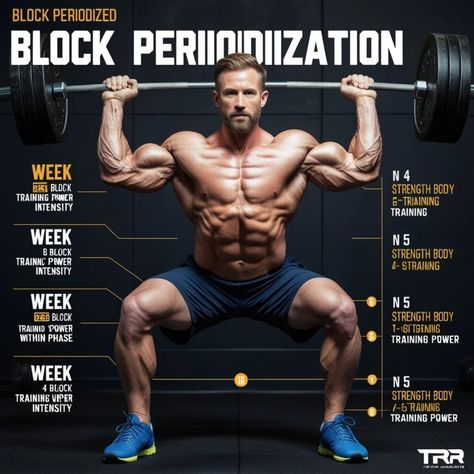 Unlock Your Strength Potential with Block Periodized Strength Training in 2025 1 Body Training, Skill Set, Muscle Growth, Powerlifting, Full Potential, You Fitness, Fitness Journey, Strength Training, Case Study