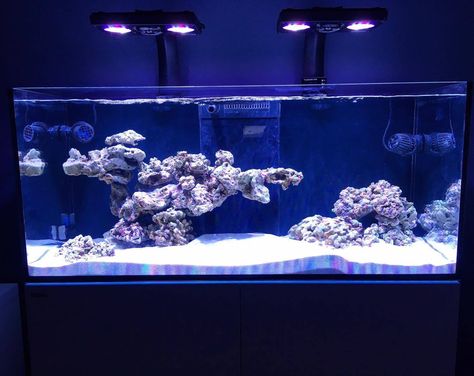 Awesome rock work Saltwater Rockscape, Aquarium Rockscape, Reef Aquascape, Reef Tank Design, Reef Aquascaping, Reef Tank Aquascaping, Saltwater Aquarium Setup, Saltwater Aquarium Fish, Aquarium Rocks