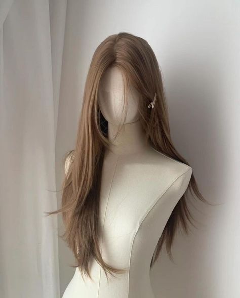 Long Brown Hair Ponytail, Long Haircut Ideas Straight, Heir Stayl, Long Asian Hair, Pretty Long Hair, Asian Long Hair, Long Hair Ponytail, Hair Inspiration Long, Long Brown Hair