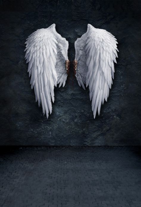 Angel Photography Wings, Angel Wings Backdrop, Wings Backdrop, Angel Wings Photography, Video Backdrops, Angel Photography, Wings Wallpaper, Angel Wallpaper, Best Photo Background