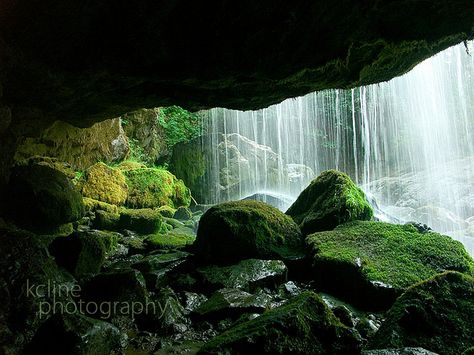 Caves with Waterfalls | photo Behind Waterfall Caves, Cave With Waterfall, Cave Behind Waterfall, Behind Waterfall, Forest Cliff, Fall In Washington, Behind A Waterfall, Waterfall Cave, Cave Waterfall