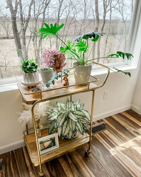 Office Bar Cart Ideas, Bar Cart Plants, Bar Cart For Plants, Bar Cart With Plants, Plant Stand Dining Room, Plant Bar Cart, Bar Cart Plant Stand, Bar Stool Plant Stand, Repurposed Bar Cart