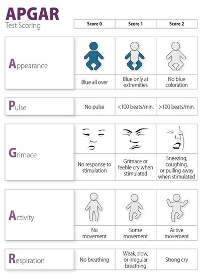 Apgar Score, Emt Study, Nicu Nursing, Paramedic School, Newborn Nursing, Child Nursing, Student Midwife, Ob Nursing, Nursing Mnemonics