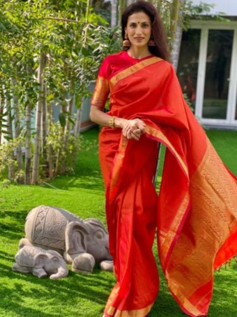 shilpa reddy red saree Shilpa Reddy Saree, Red Pattu Saree, Shilpa Reddy, Silk Saree Blouse Designs, High Neck Blouse, Silk Saree Blouse, Red Saree, Saree Trends, Pattu Saree