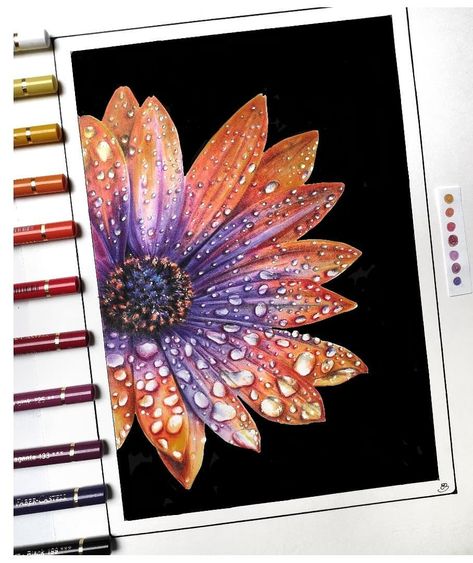 Pencil Colour Painting, Colored Pencil Artwork Ideas, Hyper Realism, Pencil Drawings Of Flowers, Prismacolor Art, Boho Art Drawings, Black Paper Drawing, Art Sketches Doodles, Colored Pencil Artwork