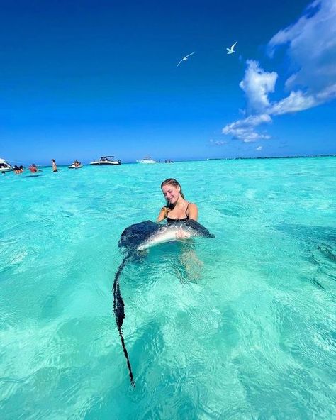 7 Mile Beach Grand Cayman, Things To Do In Turks And Caicos, Swimming With Stingrays, Grand Cayman Island, Cayman Island, Marine Biologist, The Beauty Of Nature, Ocean Vibes, Summer Goals