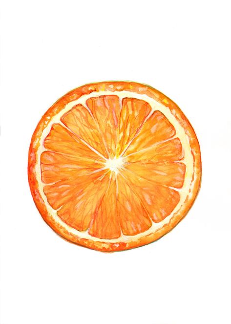 "This original painting of an orange slice was made using watercolor paint and watercolor pencils. It uses both wet in wet and layering techniques for a uniquely vibrant image. The painting is on a 5x7\" piece of high quality watercolor paper, and comes unframed. It is signed on the back as to not interrupt the seamless white space." Layering Techniques, Herb Art, Orange Painting, Orange Slice, Watercolor Fruit, Graphic Poster Art, Fruit Painting, Diy Watercolor, Fruit Art