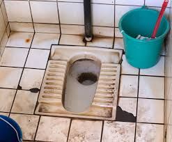 There is a significant dearth of public toilets in Nepal Toilet Day, World Toilet Day, Water And Sanitation, Public Restroom, Baking Soda Shampoo, Toilet Design, Toilets, Public Health, Madagascar