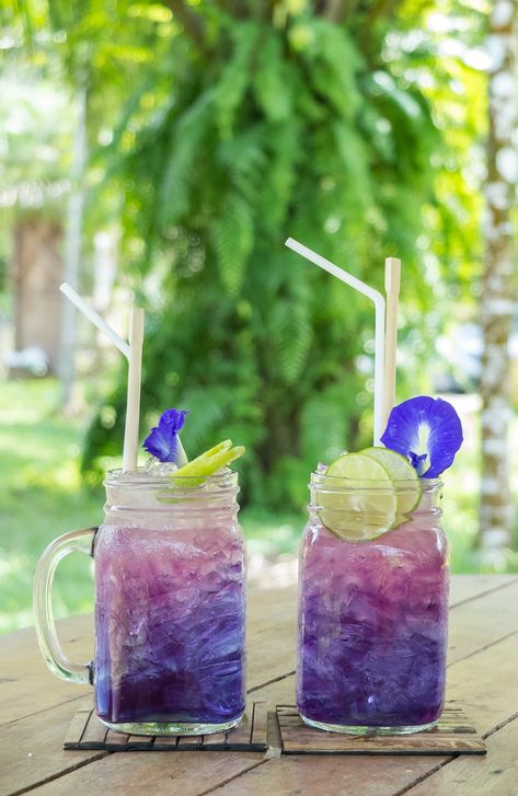 Pea Flower Tea, Lemonade Drink, Dried Hibiscus Flowers, Butterfly Pea Tea, Butterfly Pea Flower Tea, Tea Lemonade, Thanksgiving Drinks, Lemonade Drinks, Butterfly Pea Flower