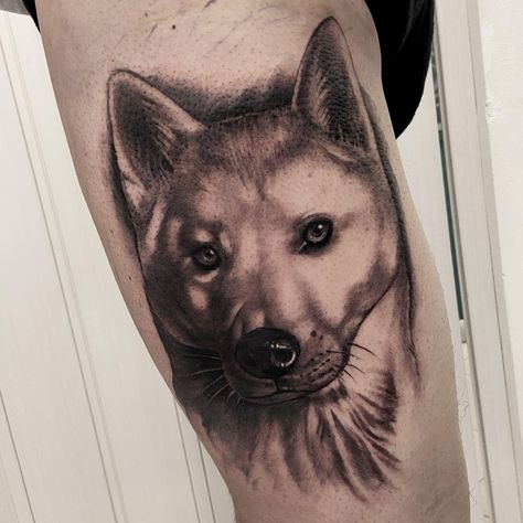 Akita Tattoo, american akita tattoo, akita tattoo design, akita tattoo pictures, simple akita tattoo, minimalist akita tattoo, japanese akita tattoo, tribal akita tattoo, akita tattoo ideas, tiny akita tattoo, shiba akita tattoo, small akita tattoo, akita tattoo puppy, geometric akita tattoo, american akita tattoo design, #akita #akitasofinstagram #akitatattoo #akitapuppy #dogtattoo #dogsofinstagram #neotraddog #dogportrait #neotraditional #neotraditionaldog #neotradtattoo #neotradtattoos Akita Tattoo, Tattoo Ideas Tiny, Neo Trad Tattoo, Tattoo Japanese, Japanese Akita, Tattoo Pictures, American Akita, Tattoo Puppy, Tattoo Minimalist