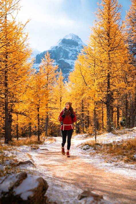 Womens Hiking Outfits, Cute Hiking Pictures, Hike With Friends, Fall Hiking Outfit, Hiking Outfit Ideas, Beginner Hiking, Hiking Girl, Fall Hiking Outfits, Cute Hiking Outfit