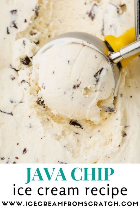 Java Chip Ice Cream Ice Cream Flavour List, Ice Cream From Scratch, Homemade Ice Cream Recipes Machine, Java Chip, Ice Cream Recipes Machine, Scream 4, Easy Ice Cream Recipe, Ice Cream Maker Recipes, Scratch Recipes