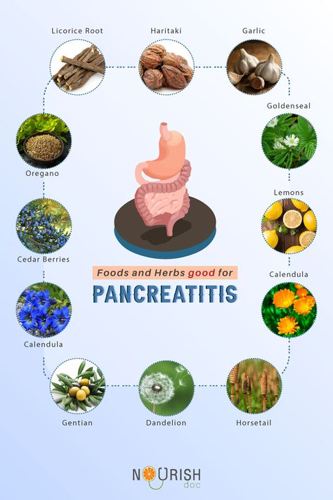 Pancreas Healing Foods, Chronic Pancreatic Diet Recipes, Food For Pancreas Health, Meals For Pancreas Health, Pancreas Pain Relief, Food Good For Pancreas, Herbs For Pancreas, Recipes For Pancreatic Diet, Pancreatic Symptoms