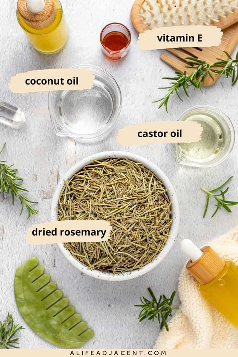 Rosemary Oil for Hair Growth: Benefits + How to Make It 3 Ways Diy Rosemary Oil, Make Rosemary Oil, Rosemary For Hair Growth, Rosemary Hair Oil, Rosemary For Hair, Diy Hair Growth Oil, Hair Growth Oil Recipe, Hair Oil Recipe, Rosemary Oil For Hair Growth