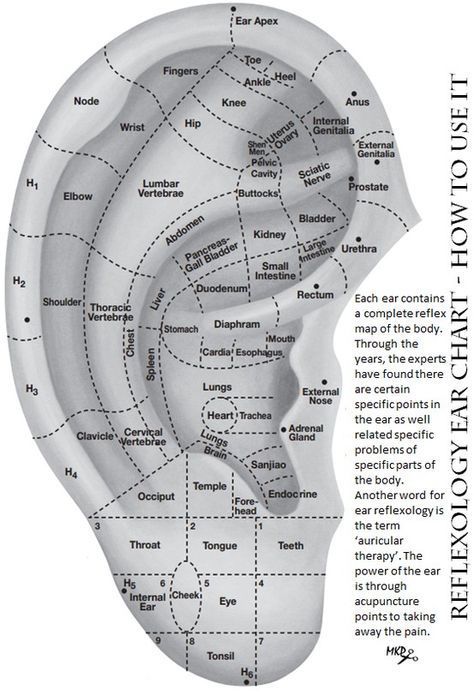 Ear-gate. This pressure point is located directly in front of where your earlobe begins. Acupressure on this point is used to relieve pressure that builds up around your jaw and in your ears. This could make it effective in treating tinnitus, ear infections, earache, tension headache, and migraine. Ear Reflexology, Ear Acupuncture, Reflexology Chart, Reflexology Massage, How To Relieve Headaches, Acupuncture Points, Acupressure Points, Alternative Health, Pressure Points